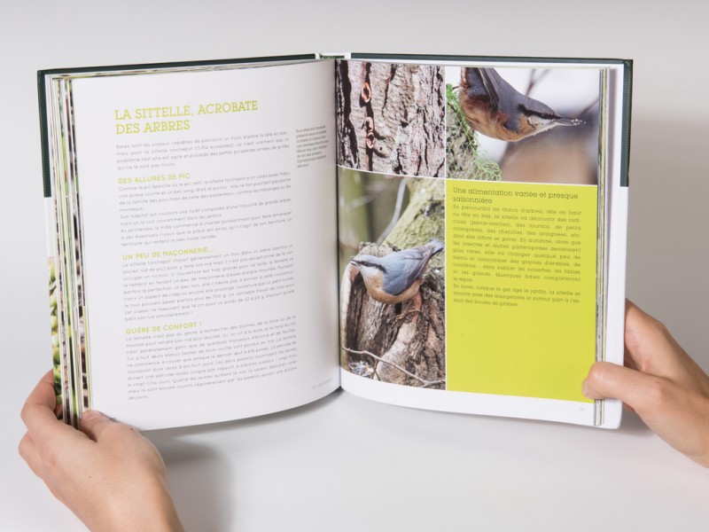 Mon jardin vit-book design-Racine-Catherine Chronopoulou