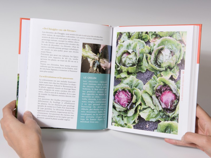 Mon potager-Mon jardin vit-book design-Racine-Catherine Chronopoulou