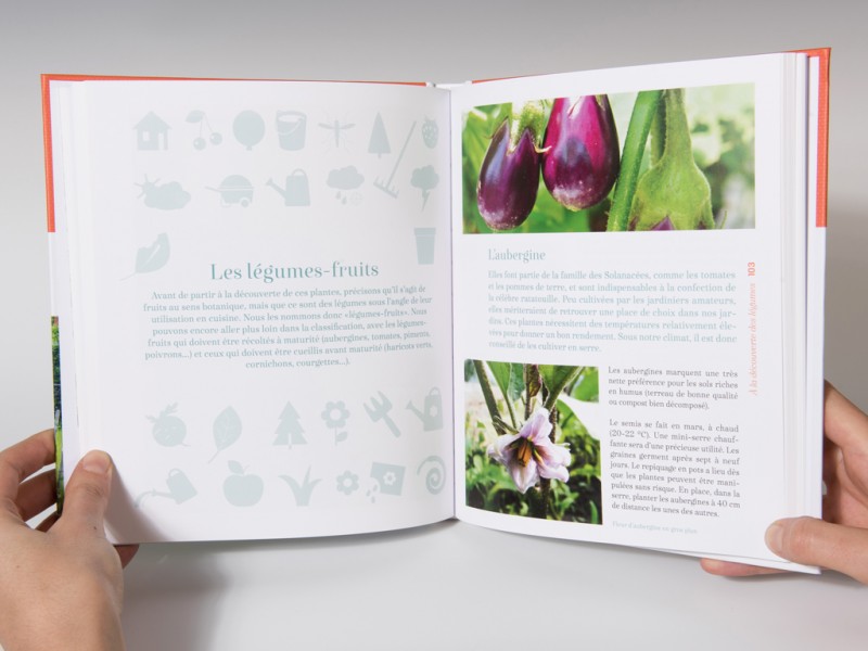 Mon potager-Mon jardin vit-book design-Racine-Catherine Chronopoulou